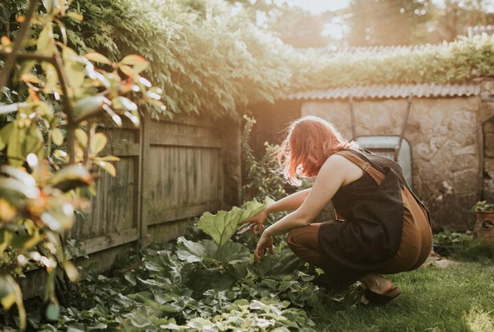 Feedback creamy thought  chance.